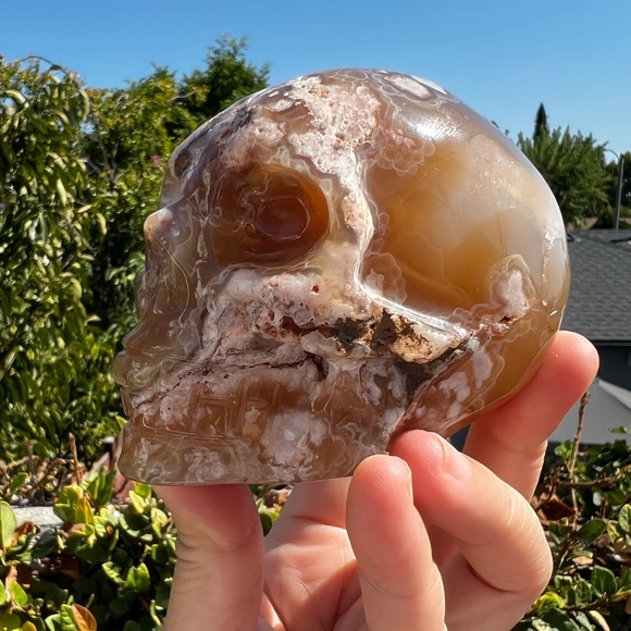 Flower Agate Skull - Sakura Agate - Picture 5 of 11